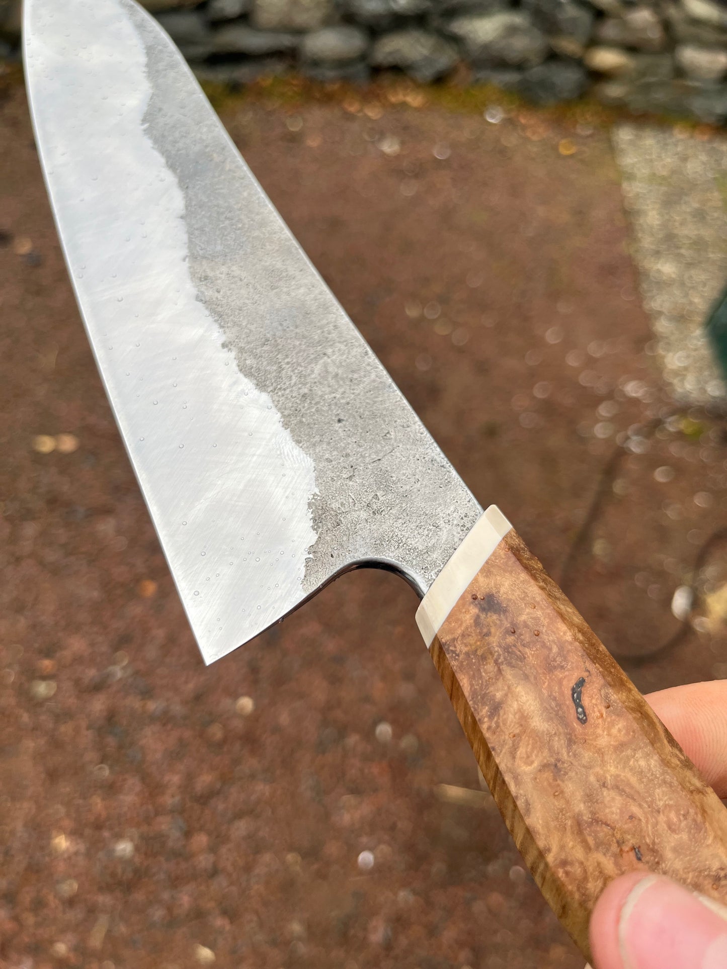 Western gyuto 56x221 mm high carbon steel