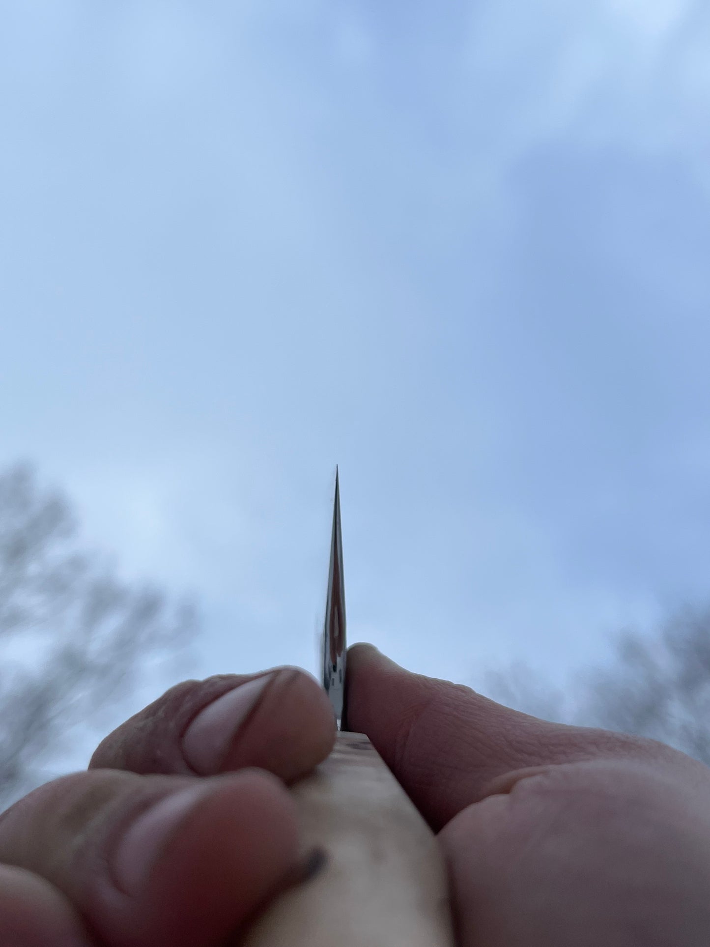 Western Gyuto 54x222 mm high carbon steel