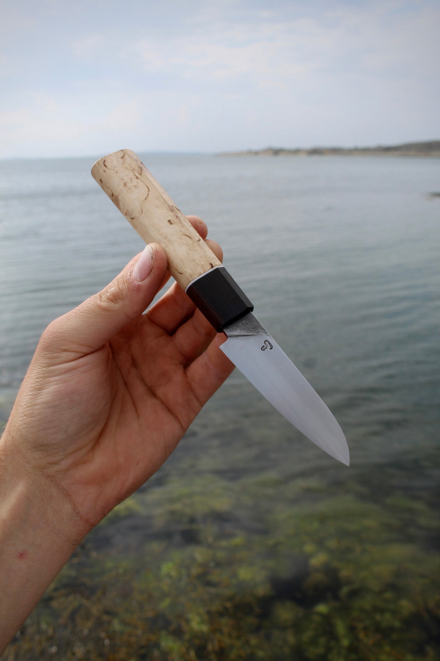 Pairing knife 22x75 mm high carbon Steel