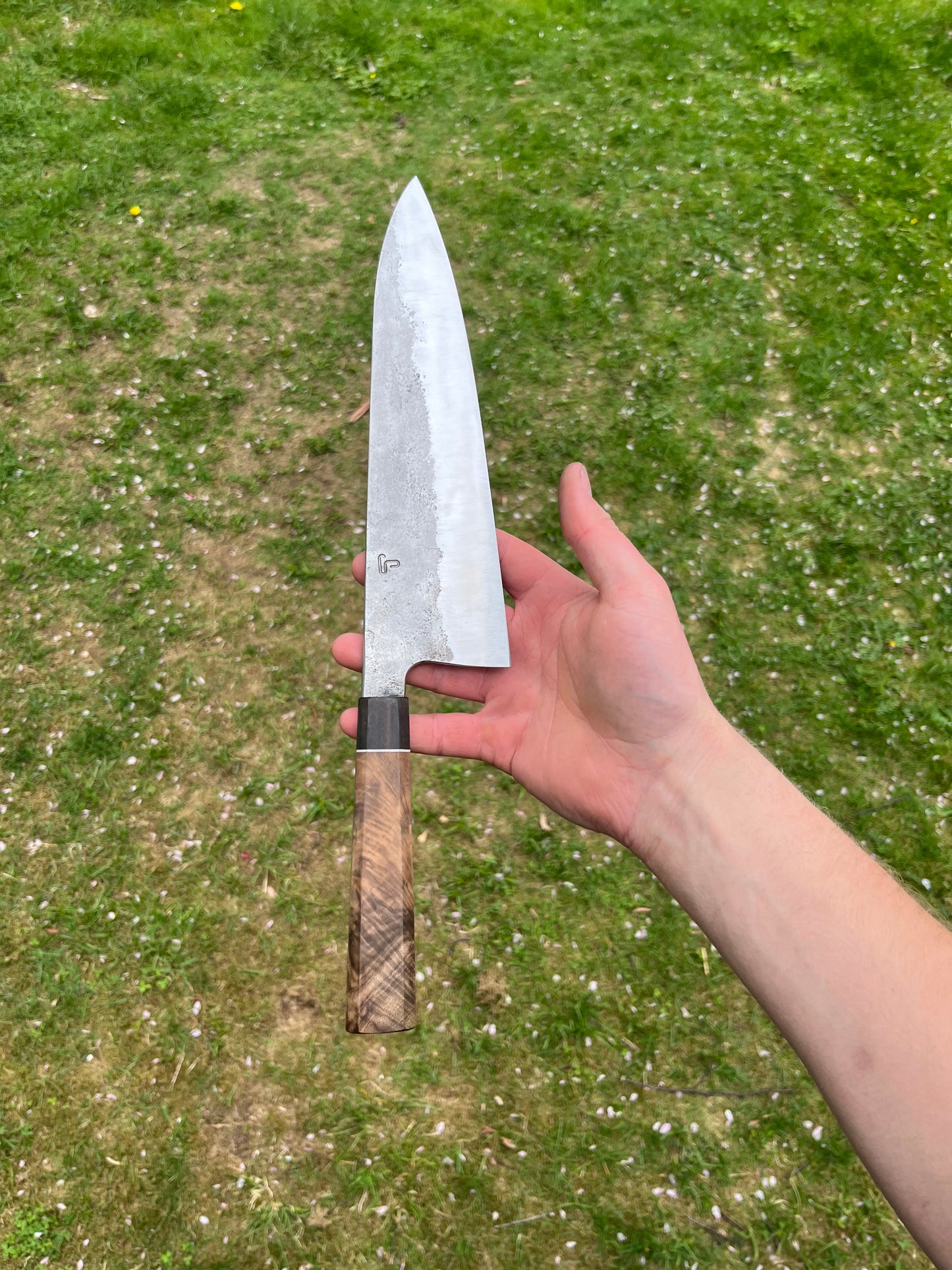 Classic gyuto 66x240 mm high carbon steel